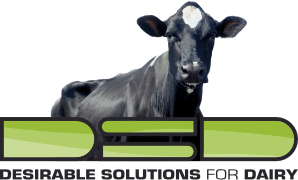 Logo van DSD Stalinrichting